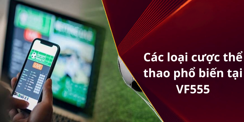 Các loại cược thể thao phổ biến tại VF555