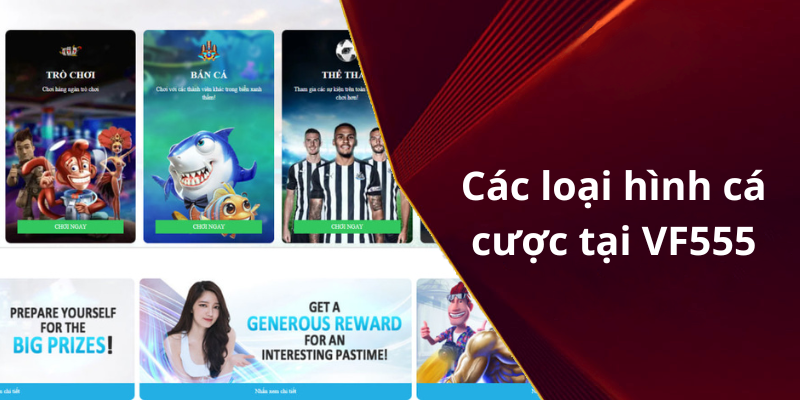 Các loại hình cá cược tại VF555