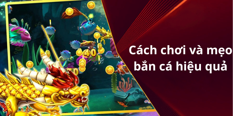 Cách chơi và mẹo bắn cá hiệu quả